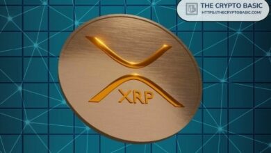 خبير: XRP يمثل "أفضل فرصة لدينا" لإحداث تغيير اقتصادي