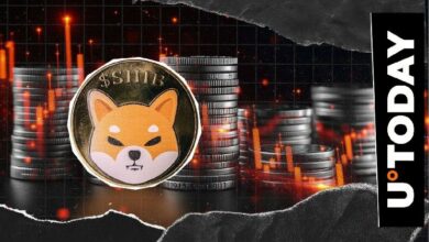 15.66 تريليون SHIB خلال 24 ساعة: تداولات عقود شيبا إينو الآجلة تواجه ضغوطاً هائلة