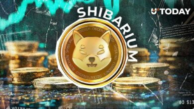 صعود معاملات شباريوم شيبا إنو 742%: هل هذه العودة القوية؟