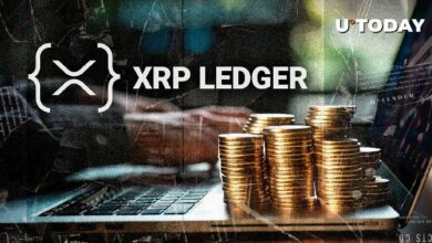 مطور XRP يحذر: ميزة XRPL الكبرى القادمة تواجه عقبات