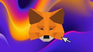 ميتاماسك تتقدم نحو محفظة موحدة للعملات الرقمية تشمل سولانا والبيتكوين