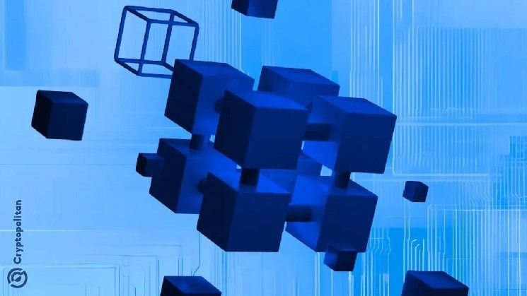 ما هي شبكة Base؟ دليل شامل لشبكة Ethereum من الطبقة الثانية التي أطلقتها كوينبيز