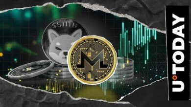 مونيرو (XMR) يرتفع 9% فجأة ويتخطى شيبا إينو (SHIB) في تصنيف العملات الرقمية
