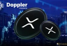 دوّبلر فاينانس XRP: المنصة تثبت صمودها أمام تقلبات السوق
