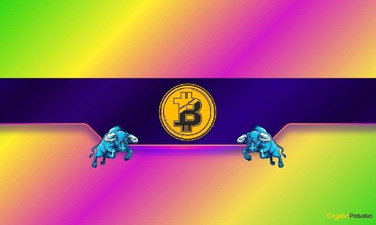 هل يستعد البيتكوين للانطلاق؟ المستوى الحاسم الذي يجب مراقبته الآن