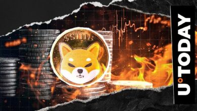 حرق 71,297,136 عملة SHIB مع ارتفاع معدل الحرق في شباب إنو بنسبة 449.66%