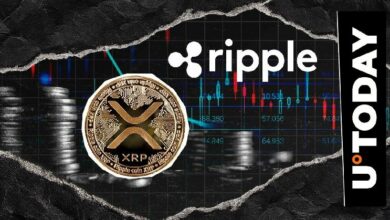 هل يحتاج XRP حقًا إلى Ripple للبقاء؟ الجدل يدور في المجتمع