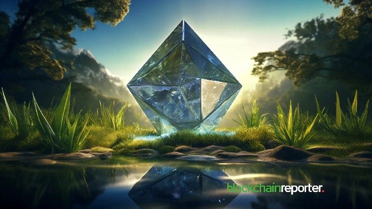 شبكة أوتونوميس ونيوبلا تضمان الشفافية والموثوقية للبيانات المناخية