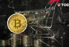 تحذير من Bollinger Bands: بيتكوين على أعتاب اختبار مستويات "الجمعة السوداء"