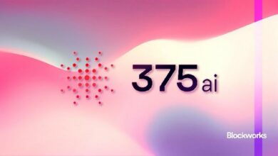 حصري: 375ai تجذب 10 ملايين دولار من مستثمرين كبار مثل دلفي وستروب و6MV