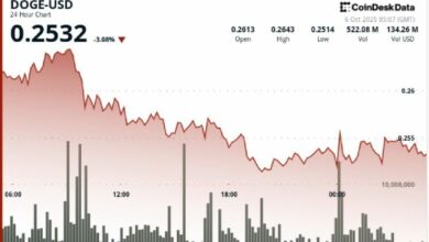 دوجكوين يحافظ على دعم 0.25 دولار بينما تضيف الحيتان 30 مليون عملة وسط نموذج "المثلث الصاعد"