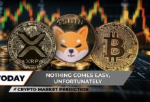 توقعات سوق العملات الرقمية: تحول XRP من الصعود إلى الهبوط وعودة شرير شيبا إينو SHIB.. من دفع البيتكوين BTC للانخفاض من 110,000 دولار؟