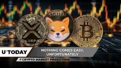 توقعات سوق العملات الرقمية: تحول XRP من الصعود إلى الهبوط وعودة شرير شيبا إينو SHIB.. من دفع البيتكوين BTC للانخفاض من 110,000 دولار؟