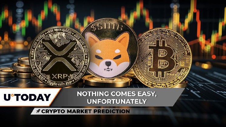 توقعات سوق العملات الرقمية: تحول XRP من الصعود إلى الهبوط وعودة شرير شيبا إينو SHIB.. من دفع البيتكوين BTC للانخفاض من 110,000 دولار؟