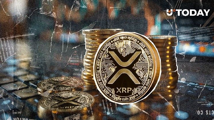 ارتفاع XRP هذا الأسبوع.. لكن احذر من الإطمئنان المفرط