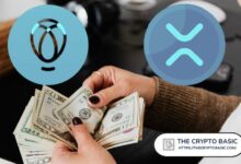 ولاء XRP يستحق أكثر من مجرد كلمات: تبادل رائد يُعلّق الآمال