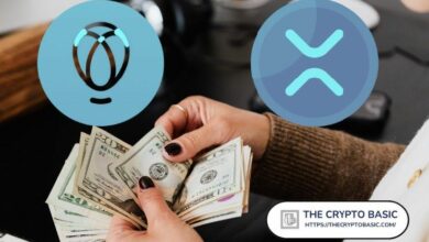 ولاء XRP يستحق أكثر من مجرد كلمات: تبادل رائد يُعلّق الآمال