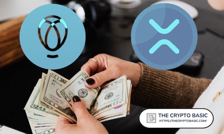 ولاء XRP يستحق أكثر من مجرد كلمات: تبادل رائد يُعلّق الآمال