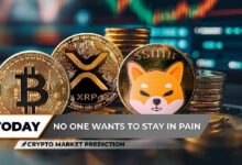 توقعات سوق العملات الرقمية: بيتكوين (BTC) تواجه صعوبات في بلوغ 100,000 دولار؟ انهيار XRP يتوقف و Shiba Inu (SHIB) تسعى لعودة سعر 0.00001 دولار