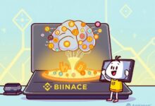 الطبقة الدلالية: مفتاح استخلاص رؤى ثورية للتداول على السلسلة في Binance Alpha