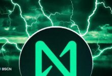 إنجازات بروتوكول NEAR على مدى نصف عقد: أبرز المحطات