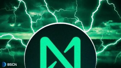 إنجازات بروتوكول NEAR على مدى نصف عقد: أبرز المحطات