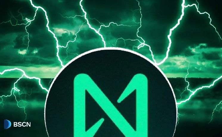 إنجازات بروتوكول NEAR على مدى نصف عقد: أبرز المحطات