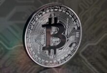 عمالاق التعدين الصغيرة تعود بقوة بعد الهالڤينغ في سوق متوازن