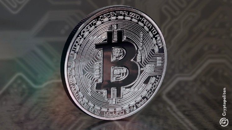 عمالاق التعدين الصغيرة تعود بقوة بعد الهالڤينغ في سوق متوازن