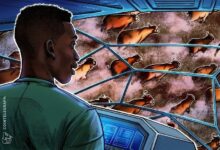 مُتداول: 'احتمال كبير' لأن يكون هذا بداية السوق الصاعدة للعملات الرقمية