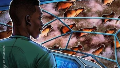 مُتداول: 'احتمال كبير' لأن يكون هذا بداية السوق الصاعدة للعملات الرقمية