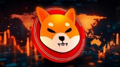 سعر Shiba Inu يصمد عند 0.00001 دولار رغم عمليات التصفية والهجرة من البورصات