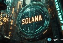 سعر سولانا يتعثر دون 200 دولار رغم ضجة الصناديق ETF.. هل يستطيع اختراق هذا المستوى؟