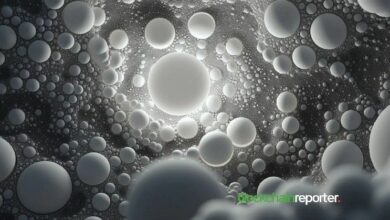 سيركل تطلق دمج Gateway x402 لتمكين المدفوعات الصغيرة المدعومة بالذكاء الاصطناعي