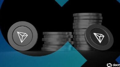 أسهم شركة Tron تهوي 85% من قمتها في يونيو وسط ركود سوق DAT