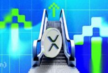 عدد حيتان XRP يصل إلى مستوى قياسي وسط اضطرابات السوق