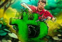 محلل يكشف ما يغفله المتداولون بعد صعود سعر البيتكوين إلى 116,000 دولار