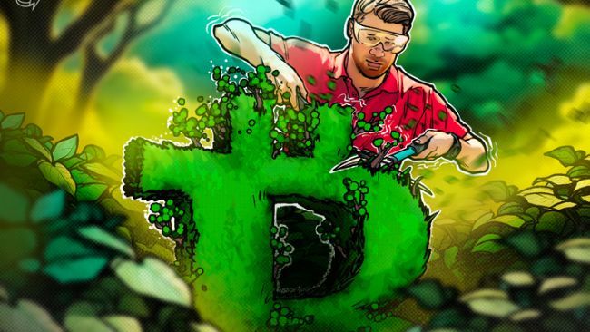 محلل يكشف ما يغفله المتداولون بعد صعود سعر البيتكوين إلى 116,000 دولار