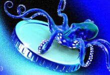 سعر MYX Finance ينهار 38% في 24 ساعة بعد انفصاله عن البيتكوين