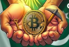 أبوظبي ترفع غرامات مزارع تعدين العملات الرقمية إلى 100 ألف درهم