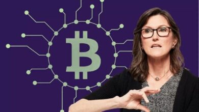 "الثور الكبير كاثي وود تطلق تصريحات صادمة: "الذهب لا يُقارن بالبيتكوين