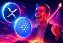 الطلب على صناديق الإيثيريوم ETF يتصاعد – ADA و XRP أبرم العملات البديلة للاستثمار أثناء تراجع السوق