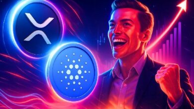 الطلب على صناديق الإيثيريوم ETF يتصاعد – ADA و XRP أبرم العملات البديلة للاستثمار أثناء تراجع السوق