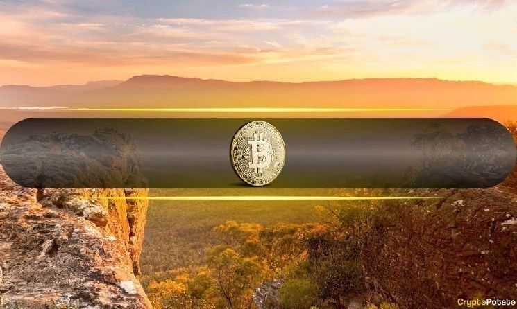 هل كان ذروة البيتكوين عند 126 ألف دولار في 6 أكتوبر القمة النهائية لهذه الدورة؟ (استطلاع)