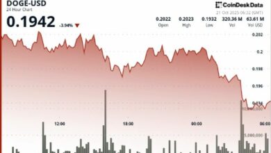 دوج كوين يتداول عند مستويات منخفضة.. انتبه إلى مستوى 0.194 دولار لتحرك حاسم