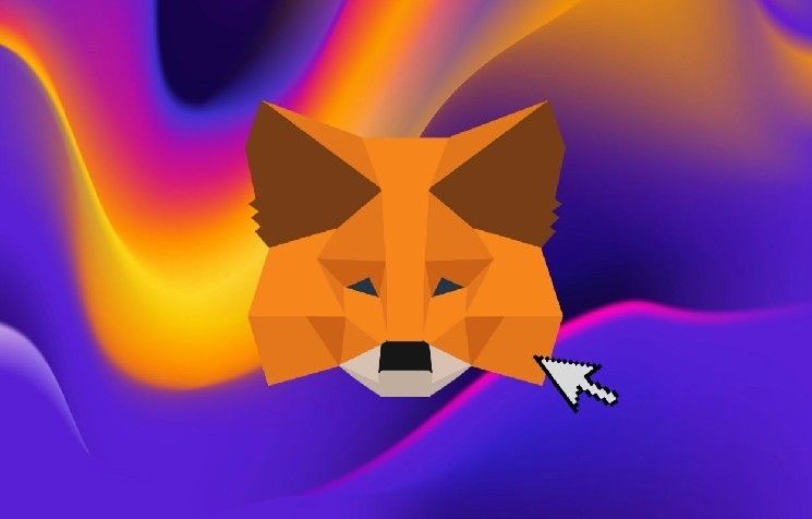 البيتكوين في MetaMask: لماذا يجب أن تضع كل عملاتك الرقمية في محفظة واحدة؟