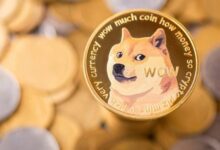 محلل يتوقع: دوجكوين على أعتاب أكبر صعود في 2025