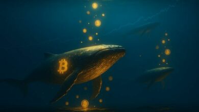 أرباح حيتان البيتكوين قصيرة الأجل تبلغ 10.1 مليار دولار.. الأعلى في الدورة الحالية