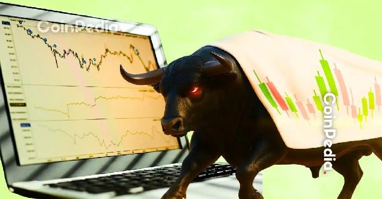 لماذا ارتفع سعر Zcash (ZEC) اليوم؟