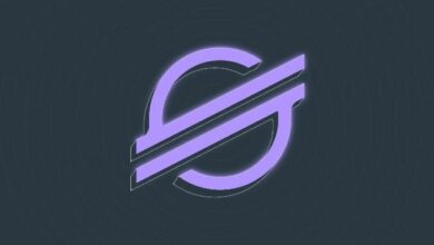 انخفاض صاروخي لـ XLM بنسبة 5% مع انهيار مستويات الدعم الحرجة